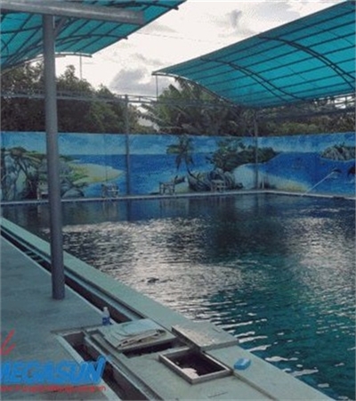 Công trình hồ bơi DONA – Đức Trọng – Lâm Đồng